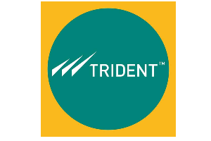 Trident Group
